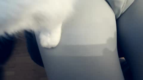 111mh online show from April 4, 2026, 10:40 pm