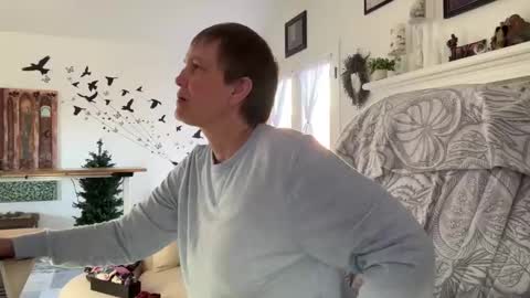 Aurora Willows online show from January 9, 2026, 4:43 pm