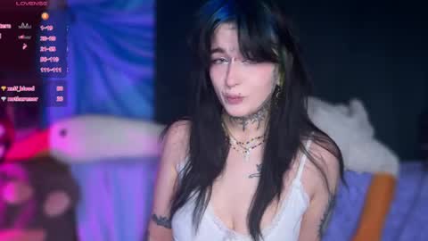 Teya online show from April 24, 2026, 7:11 am