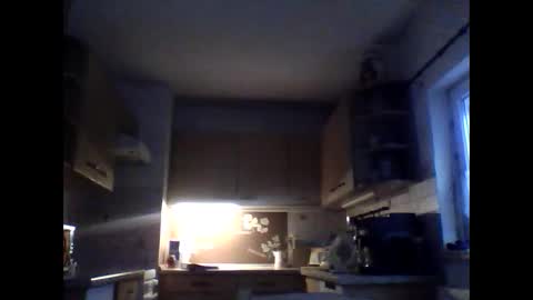 20x5cmgermanlongdong online show from January 17, 2026, 7:13 am