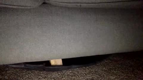 30nick online show from February 25, 2026, 5:50 am