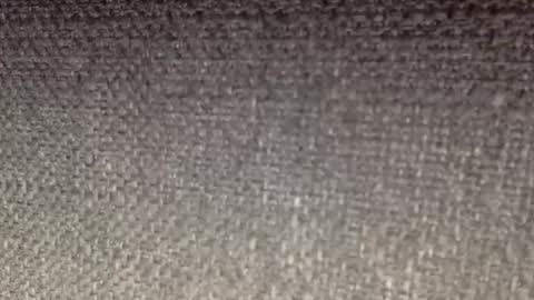 30nick online show from April 19, 2026, 8:24 am