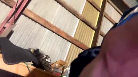 Snapshot of 420danny chatting on February 24, 2025, 3:44 am 420danny online show from February 24, 2025, 3:44 am