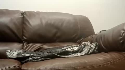 50groupauto online show from January 14, 2026, 12:05 am