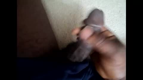 559lark online show from April 20, 2026, 3:20 am