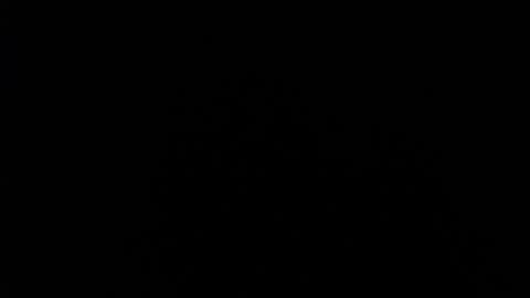 SHANNON online show from December 11, 2024, 4:09 pm