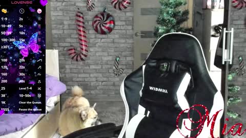 Mia my pvt is open and lovense is active online show from December 23, 2024, 8:11 am