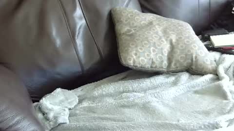 Snapshot of 66bear chatting on January 31, 2025, 6:57 pm 66bear online show from January 31, 2025, 6:57 pm