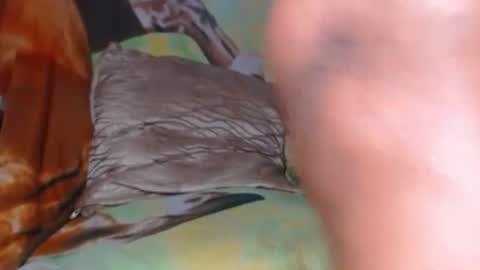 Snapshot of 69onebigkiss chatting on March 31, 2026, 5:57 pm kendra1811 is my X networks I HOPE YOU FOLLOW ME THANKS online show from March 31, 2026, 5:57 pm