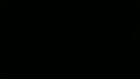 Noha online show from January 26, 2025, 9:51 am