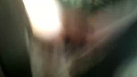 8675309r2d2 online show from November 9, 2025, 6:55 am