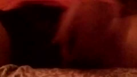 8inchhardbr online show from February 23, 2026, 3:59 am