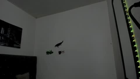 DERECK online show from April 15, 2026, 10:22 am