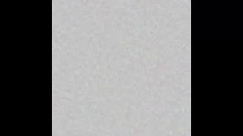 Brenda online show from February 12, 2025, 12:01 pm