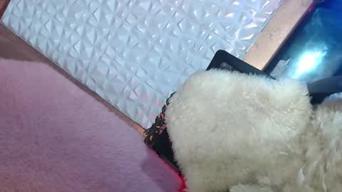 Snapshot of _caroline69 chatting on January 19, 2025, 1:55 pm Caroline online show from January 19, 2025, 1:55 pm