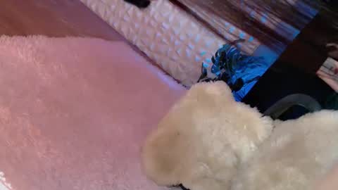 Snapshot of _caroline69 chatting on March 8, 2025, 6:32 am Caroline online show from March 8, 2025, 6:32 am