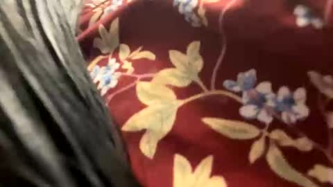 Snapshot of _catalina_linda_ok chatting on October 26, 2025, 6:41 am _catalina_linda_ok online show from October 26, 2025, 6:41 am