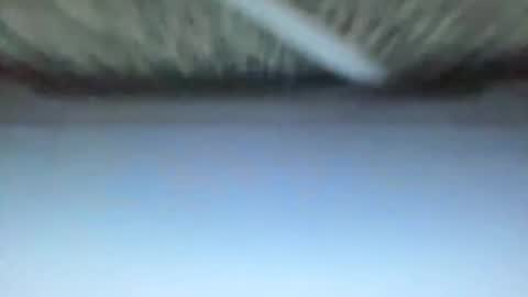 _direwolf_ online show from February 27, 2026, 10:59 am