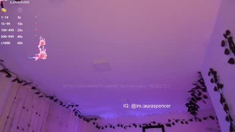 Snapshot of _lauraspencer_ chatting on February 11, 2025, 1:41 am Laura online show from February 11, 2025, 1:41 am