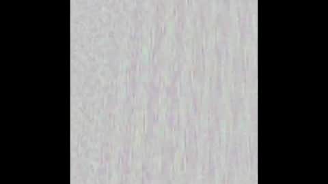 _maccaa_ online show from December 22, 2025, 11:51 am