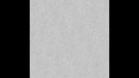 _maccaa_ online show from January 14, 2026, 11:38 am