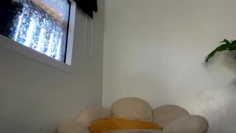 Snapshot of _morpho_ chatting on January 29, 2025, 5:09 am Francine Aisi Morpho - a genus of blue butterflies. online show from January 29, 2025, 5:09 am