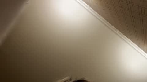 Francine Aisi Morpho - a genus of blue butterflies. online show from December 21, 2025, 8:49 pm