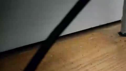 _nicetobehere_ online show from January 16, 2026, 1:04 pm