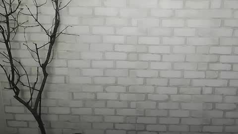 Rachel online show from December 14, 2024, 1:27 pm