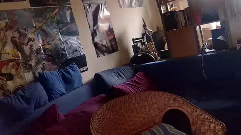 Sven online show from November 26, 2025, 1:01 pm