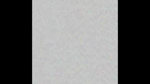 _tammarra_ online show from January 6, 2026, 12:31 pm