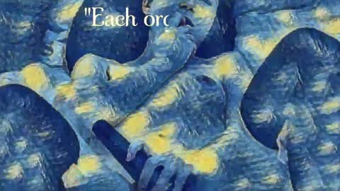 Evi online show from December 24, 2024, 10:49 pm