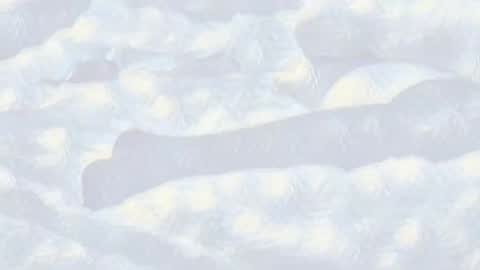 Evi online show from January 14, 2025, 10:44 pm