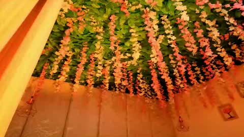   online show from April 12, 2026, 11:37 am