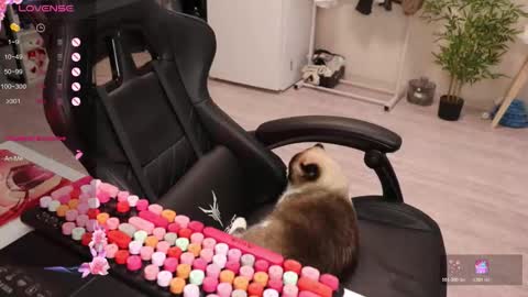 Alis online show from December 15, 2025, 8:40 am