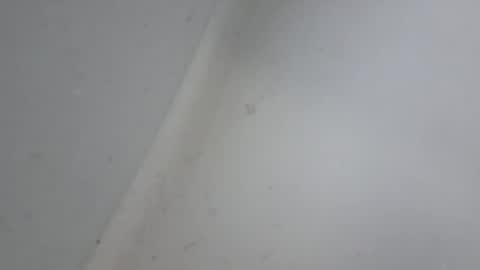 XXL online show from January 18, 2026, 10:52 am