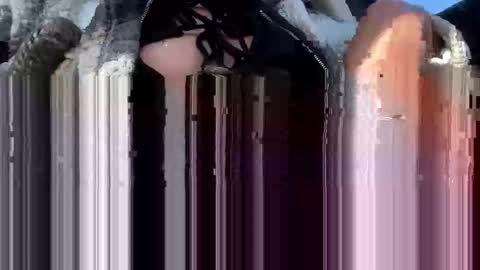 Snapshot of a_rae93 chatting on October 14, 2025, 4:19 pm a_rae93 online show from October 14, 2025, 4:19 pm