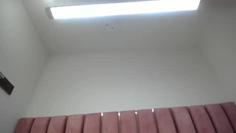 Snapshot of abby_ros_ chatting on January 29, 2025, 6:22 am abby_ros_ online show from January 29, 2025, 6:22 am