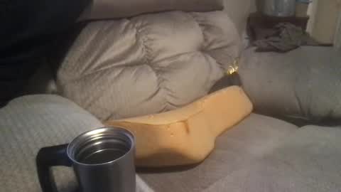 abe_froman2007 online show from January 19, 2025, 4:33 am