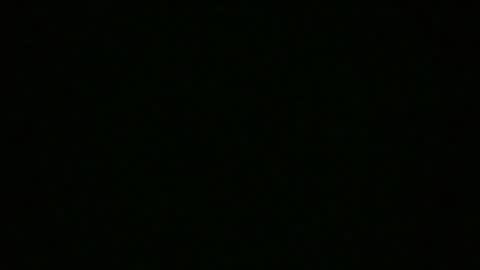 abella__rose online show from December 20, 2024, 9:17 pm