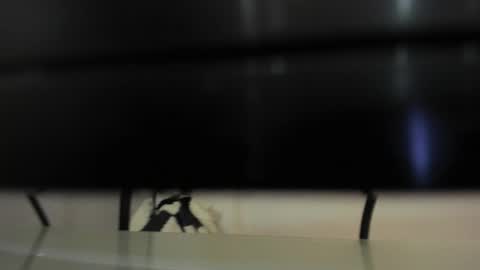 Abril 777 online show from February 22, 2026, 7:56 pm