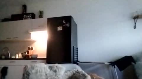 I love a little angel online show from November 28, 2025, 10:18 am