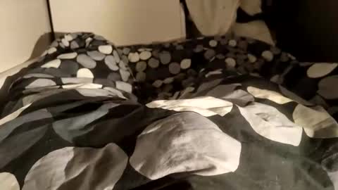 Snapshot of adrisex2002 chatting on December 28, 2024, 8:58 am adrisex2002 online show from December 28, 2024, 8:58 am