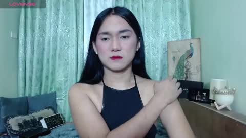 Ahmri online show from January 13, 2025, 12:56 pm