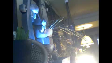 Snapshot of ajstevens326 chatting on November 3, 2025, 11:11 am ajstevens326 online show from November 3, 2025, 11:11 am