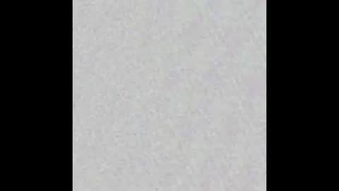 Al Fox  Miko Fortuni  online show from January 12, 2025, 11:15 pm