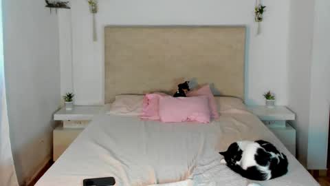             online show from March 20, 2026, 2:22 pm