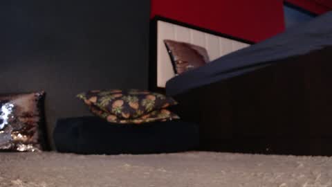 Snapshot of alanna_gold chatting on January 11, 2025, 5:20 am Alanna online show from January 11, 2025, 5:20 am