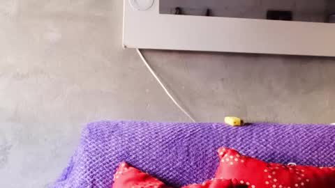 alasska_18 online show from October 25, 2025, 10:04 pm