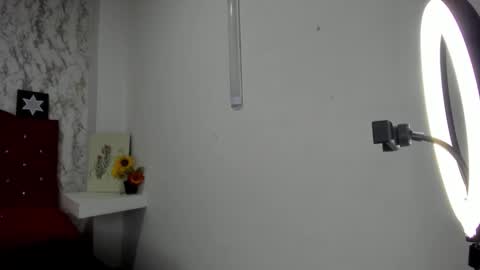 ALEJANDRA JAMES online show from May 4, 2026, 11:28 am